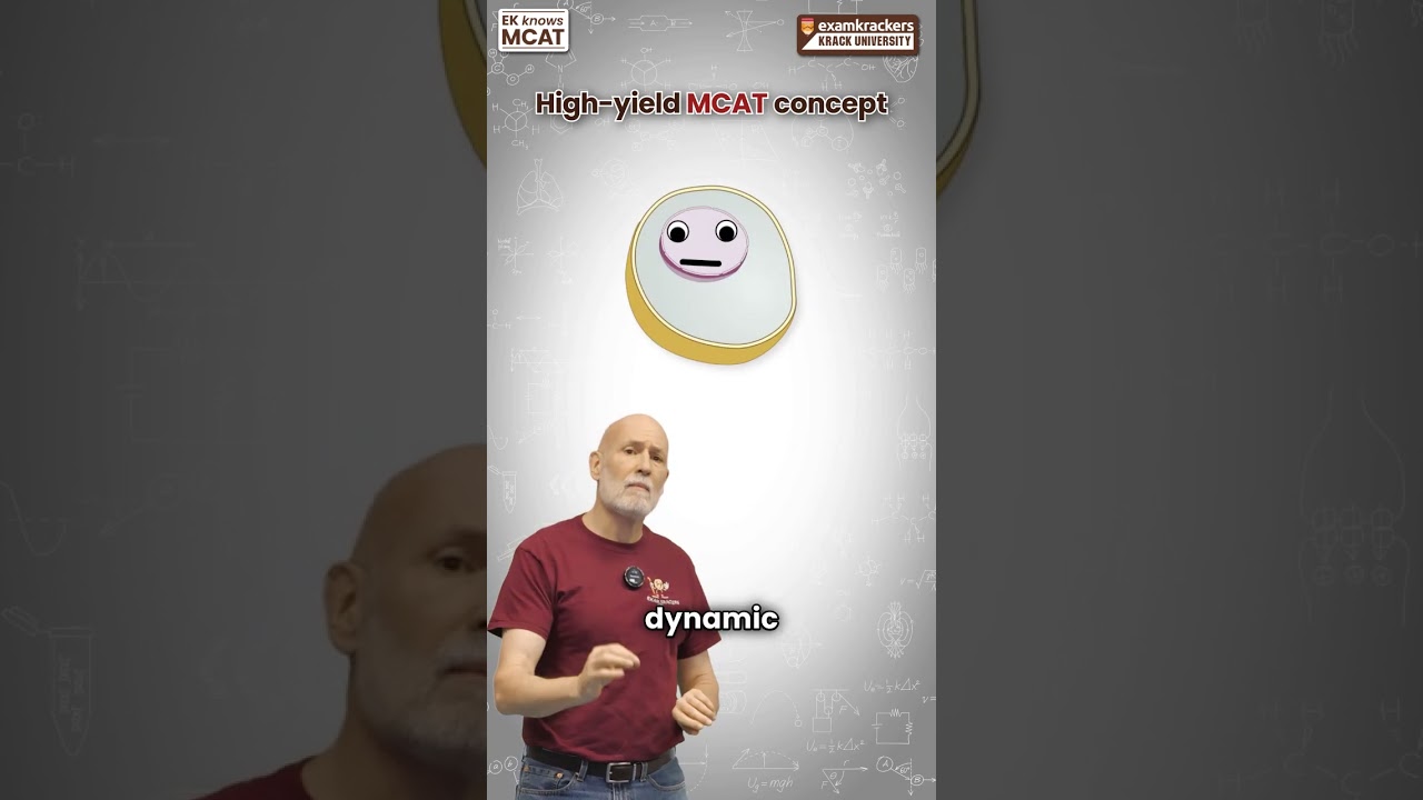 Dynamic Equilibrium vs Dynamic Steady State
