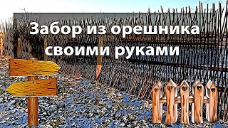 Забор из орешника своими руками. Бюджетный вариант забора из дерева. #заборсвоимируками #забор