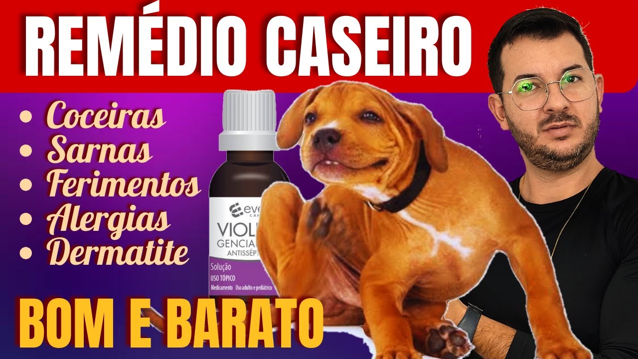 COMO ACABAR COM A COCEIRA E ALERGIAS EM CACHORRO: MISTURA MILAGROSA E MUITO BARATA. ( SANTO REMÉDIO)