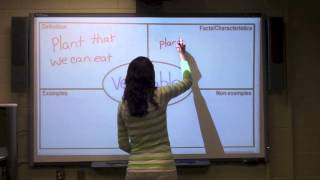 The Frayer Model