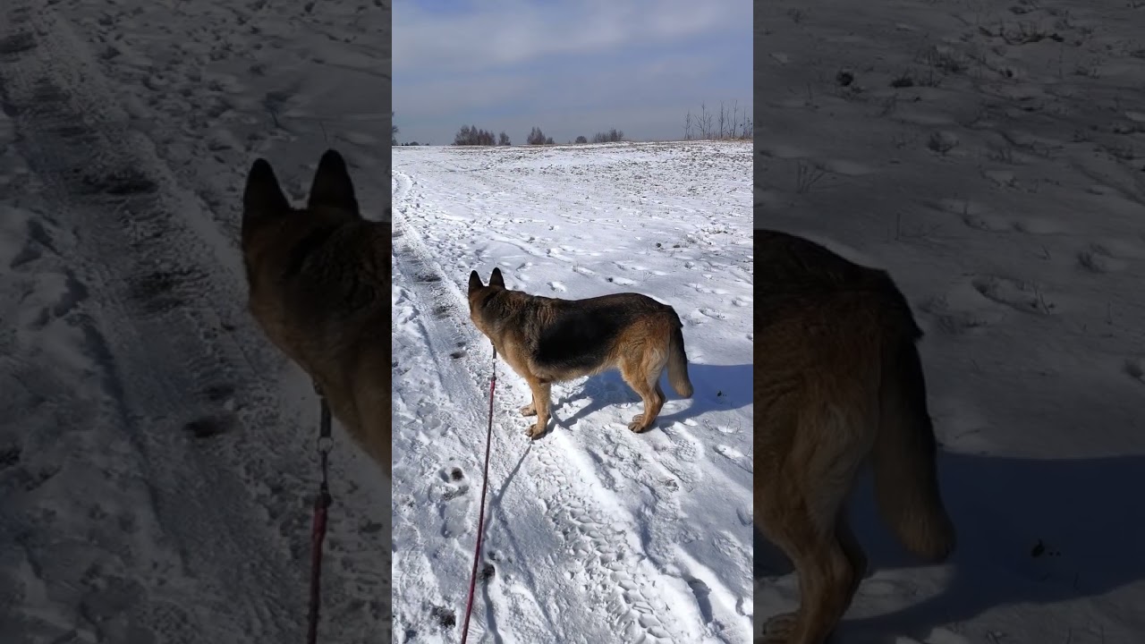Za wszystko dziękujcie Bogu Prawdziwemu Żywemu Stwórcy co tworzy w nas Ducha Prawdy Jak.1:18