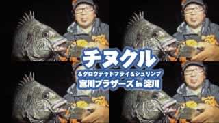 チヌクル-ブロビスdeチヌ-キビレ実釣in淀川-ブロビス宮川ブラザーズ