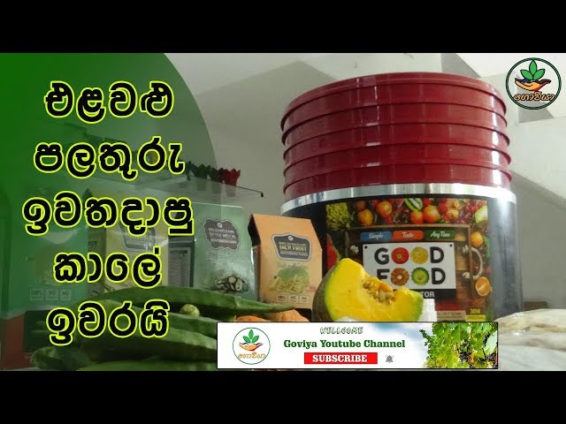 ඉවතලන එළවළු පලතුරු වලට නියම වටිනාකමක්