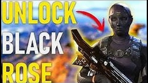 CRUSIONS AIO TOOL (UNLOCK ALL, NO RECOIL, FOV, CAMO SWAPPER, STATS EDITOR)