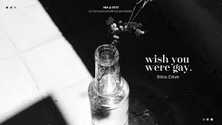 • Vietsub • Billie Eilish 'wish you were gay' | Hawyn \& Hamilk