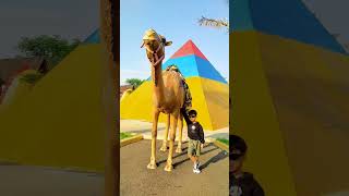 Download Lagu tempat wisata di subang di dalam kampung banyak spot foto #subangjawabarat #vlog #healing #shorts MP3