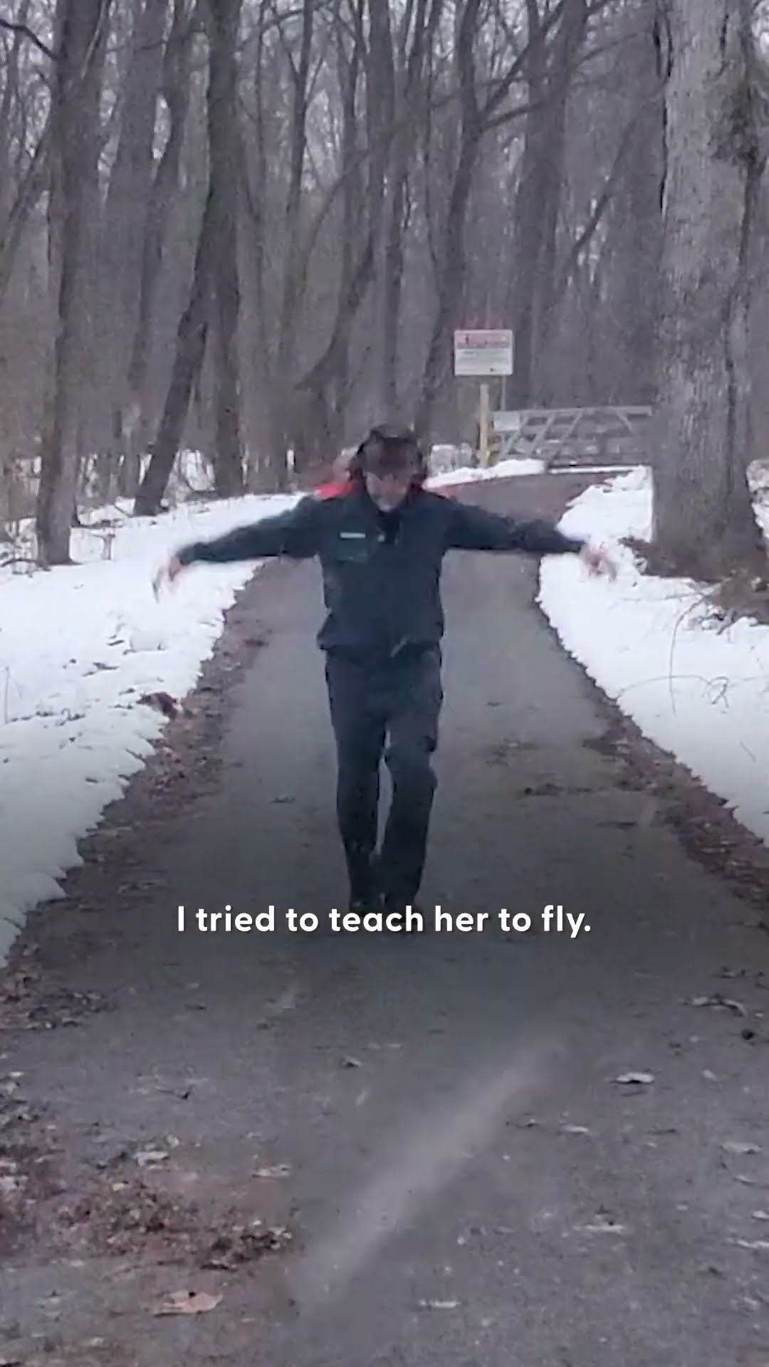 Man Raises Baby Goose And Even Teaches Her How To Fly | The Dodo