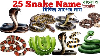 Snake Name English & Bengali 🐍 Kids Learn 25 Snake Name With Picture | Snake Name Toddler Vocabulary