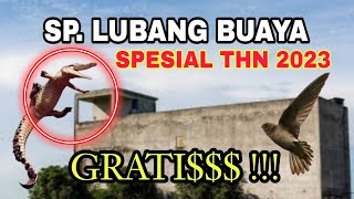 Download SP. LUBANG BUAYA Mix Suara AKAU BJA LG !! Suara Panggil Walet ‼️