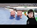Building on the Gosh Darn SMP