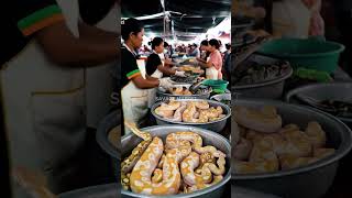 Extreme Albino Python Market in Asia! 🐍✨@mfajar88