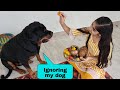 My dog needs attention||bhai dooj special||rottweiler dog.