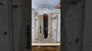 How Chemical Anchor Bolts Work! 🧪🔩 #Shorts #fasteners