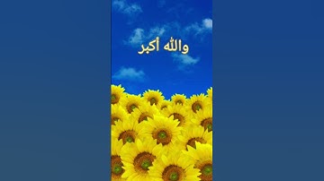 القارئ الجزائري عبد العزيز السحيم ماتيسر من سورة مريم