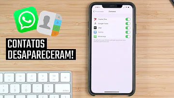 Como descobrir contatos ocultos no WhatsApp no iPhone?
