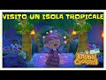 VISITO UN ISOLA TROPICALE ☀🏝 ANIMAL CROSSING NEW HORIZONS
