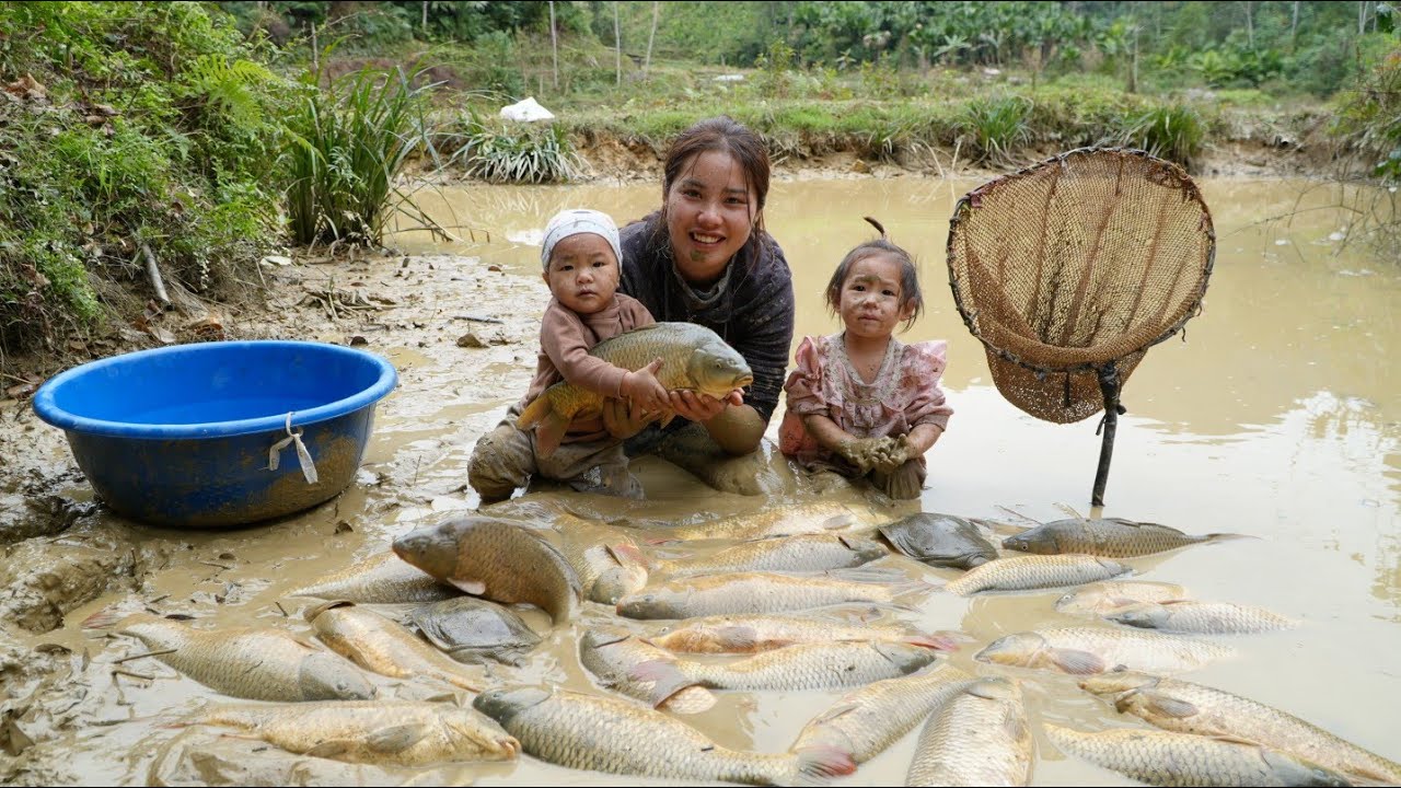 Single mother harvests giant fish pond to sell at market - cooking with ...