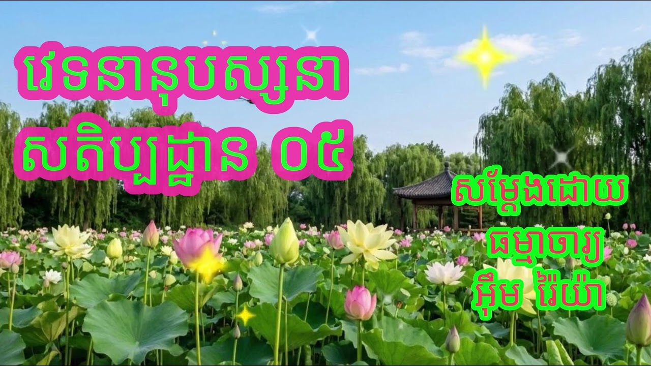 វេទនានុបស្សនាសតិប្បដ្ឋាន​​ ០៥ បង្រៀនដោយ ធម្មាចារ្យ អ៊ឹម រ៉ៃយ៉ា 