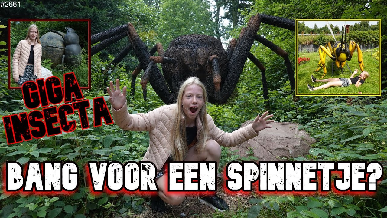 Deze zijn MEGA GROOT. GIGA INSECTA in Vijversburg te TYTSJERK tijdens KoiCAVE KOISHOW Noord #2661