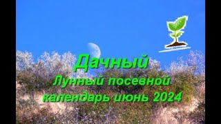 Лунный посевной календарь на июнь 2024 года для садоводов и огородников