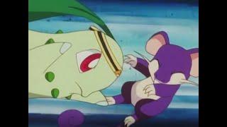 THE JOHTO JOURNEYS : RATTATA FIRST APPEARANCE & FIRST TACKLE (CHIKORITA VERSION)