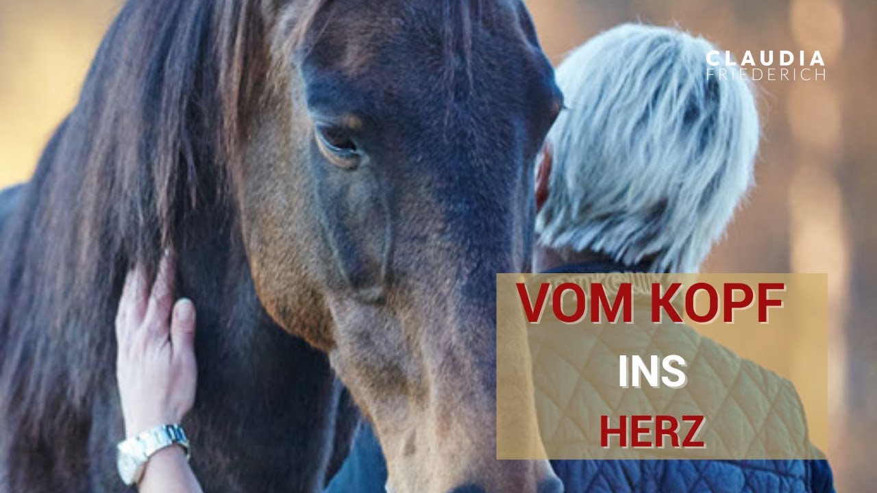 Botschaft von Pferd Spirit: Der Weg vom Kopf ins Herz. ♥️