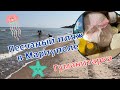 ПЕСЧАНЫЙ ПЛЯЖ В МАРИУПОЛЕ. ЧТО ВХОДИТ В ГУМАНИТАРНУЮ ПОМОЩЬ?