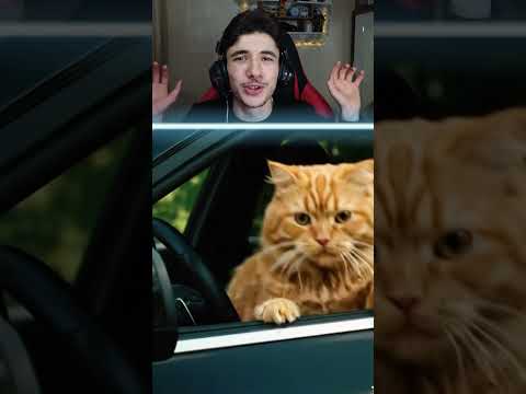 المفاجأة الكبرى