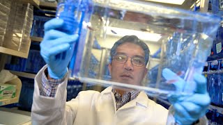 Albert Pan's discovery may lead to a better understanding of mental health disorders