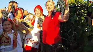 Renkli Bir Bağ Bozumu💃❤💃Uzunköprü Yeniköy Bağ Bozumu Ve Yayla Şenlikleri.