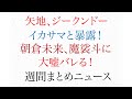 朝倉未来、魔裟斗に大嘘バレる・矢地、ジークンドーのいかさま暴露など　【週間まとめニュース】