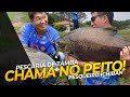 CHAMA NO PEITO! Pescaria de Tamba no pesqueiro Ichiban. Estreiando a nova vara TANKA!