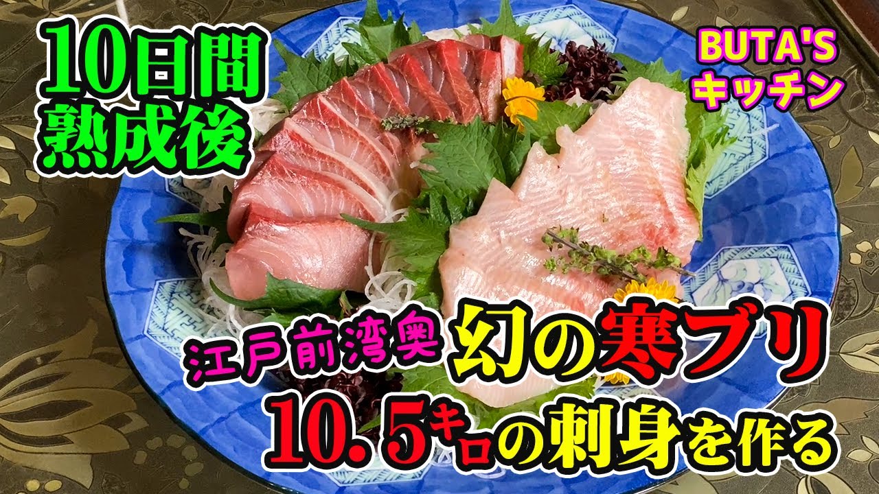 【釣り料理】超熟成☆10日間熟成後させた幻の寒ブリで刺盛りを作る♪【How to make Clean, Yellowtail Sashimi