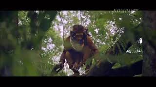 Iklan Marjan 2020 - Purbasari Dan Lutung Kasarung (30 Sec)