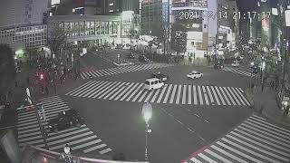 【LIVE CAMERA】渋谷スクランブル交差点 ライブ映像