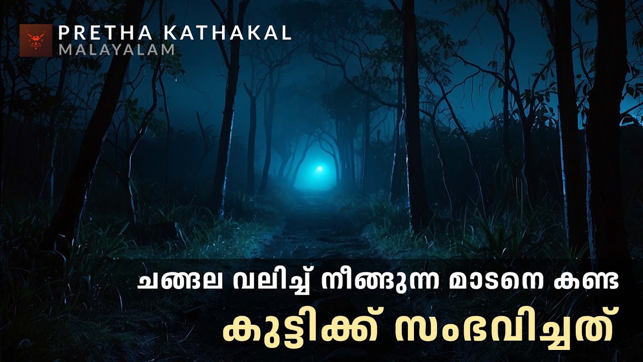 ചങ്ങല വലിച്ച് നീങ്ങുന്ന മാടനെ കണ്ട കുട്ടിക്ക് സംഭവിച്ചത് | ghost story malayalam