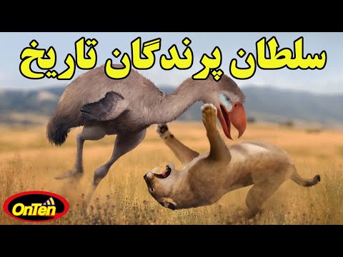 تصویری: پرنده دودو: تاریخ نابودی