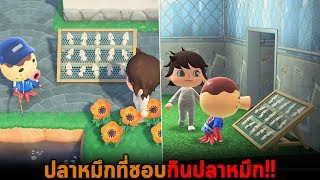 ปลาหมึกที่ชอบกินปลาหมึก Animal Crossing