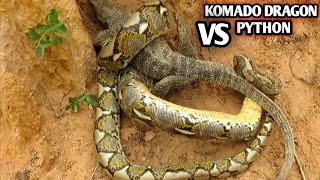 Python Attacked Komodo Dragon -Most Amazing Fight Wild Fight