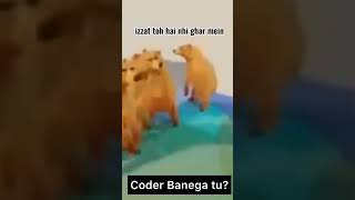 5 Reasons why you are Coder| #5reasons #coder #codingmeme #memes #developer #frontend