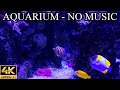 Deep blue sea aquarium 4k underwater sounds no music no ads  8 hours of underwater ambience