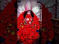 কালো রূপে দিগম্বরী।। #youtubeshorts #indiangods #shortsfeed #song #maakali #puja