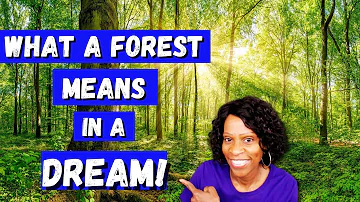 What a Forest Means in a Dream/Dreams About a Forest/Biblical Dream Interpretation!