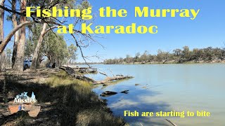 Fish are biting even if the Murray is low, at Karadoc.