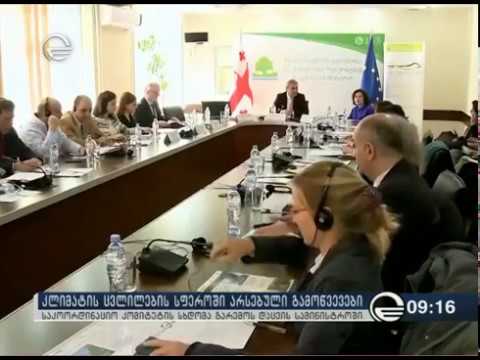 LEDS საკოორდინაციო კომიტეტის სხდომა | LEDS Steering Committee Meeting
