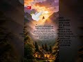 #youtube #keşfet #amin ,#öneçıkar #viral #keşfet