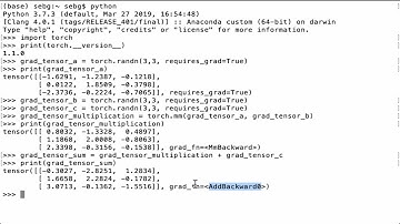 Make A Simple PyTorch Autograd Computational Graph - PyTorch Tutorial