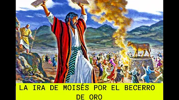 ¿Cuál fue el castigo de Dios por el becerro de oro?