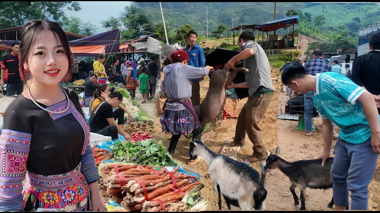 woa ! CHỢ PHIÊN CỐC LY - BẮC HÀ - LÀO CAI ,TOÀN DÊ NÚI ,LỢN BẢN CẮP NÁCH ,CHÓ MÔNG BÀY BÁN KHẮP CHỢ.