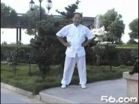 Цигун журавля. Цигун журавля. Цигун журавля. Парящий журавль цигун видео на русском языке все ступени. Цигун журавль.